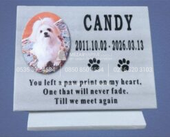 Kaide Üzerinde Porselen Resimli Mermer Pet Mezar Taşı